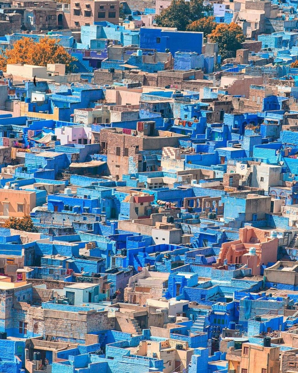 jodhpur